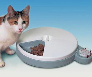 15 of The Best Automatic Pet Feeders 
