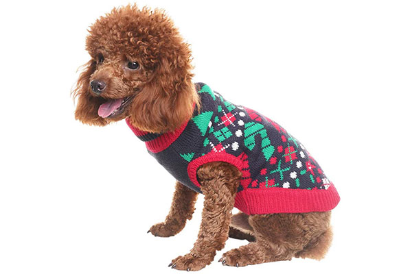 9 of the Best Christmas Jumpers for Dogs | PetMoneySaver