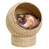 10 of the Best Cat Beds