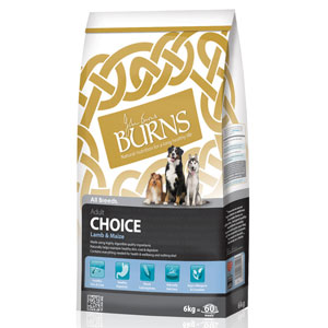 Cheap Burns Adult & Senior Choice Lamb & Maize 12kg