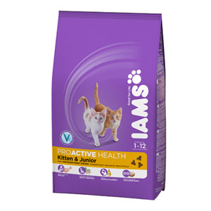 Iams healthy kitten store food