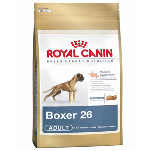 Boxer Adult 12kg