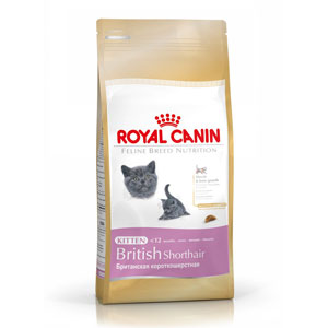 royal canin kitten british shorthair 10kg