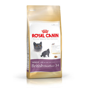 Cheap Royal Canin British Shorthair 4kg