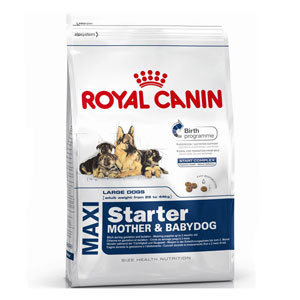 Cheap Royal Canin Maxi Starter 4kg