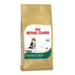 Royal Canin Maine Coon Kitten 10kg